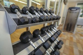 Weights